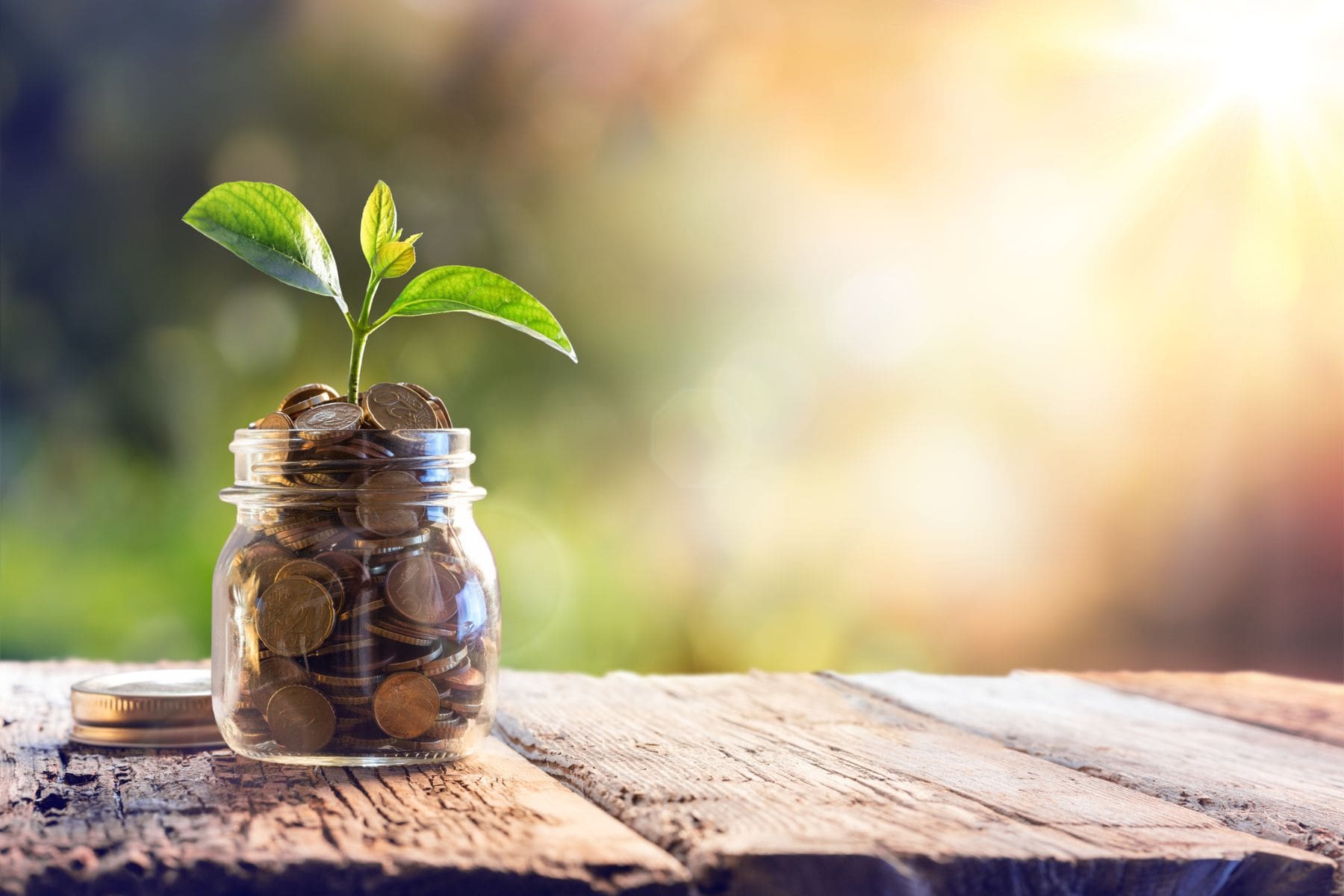 property upgrades - bloom from money